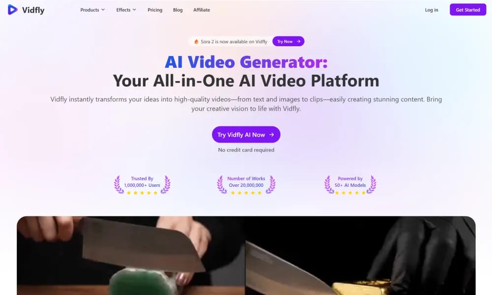 Vidfly