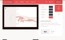 CSS Winner