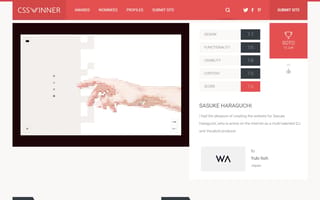 CSS Winner
